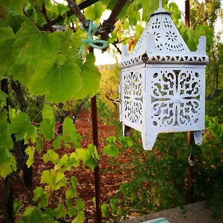 Maison d'hôtes Trulli Di Ivana