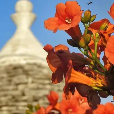 Trulli Di Ivana Ostuni